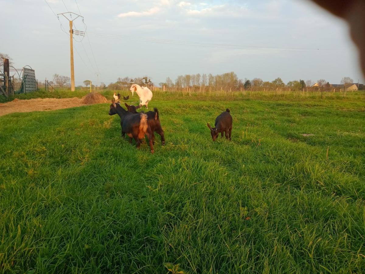 La Ferme D' Emerentine Bacilly Εξωτερικό φωτογραφία