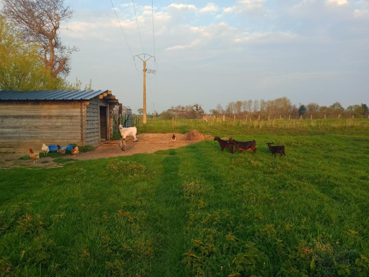 La Ferme D' Emerentine Bacilly Εξωτερικό φωτογραφία