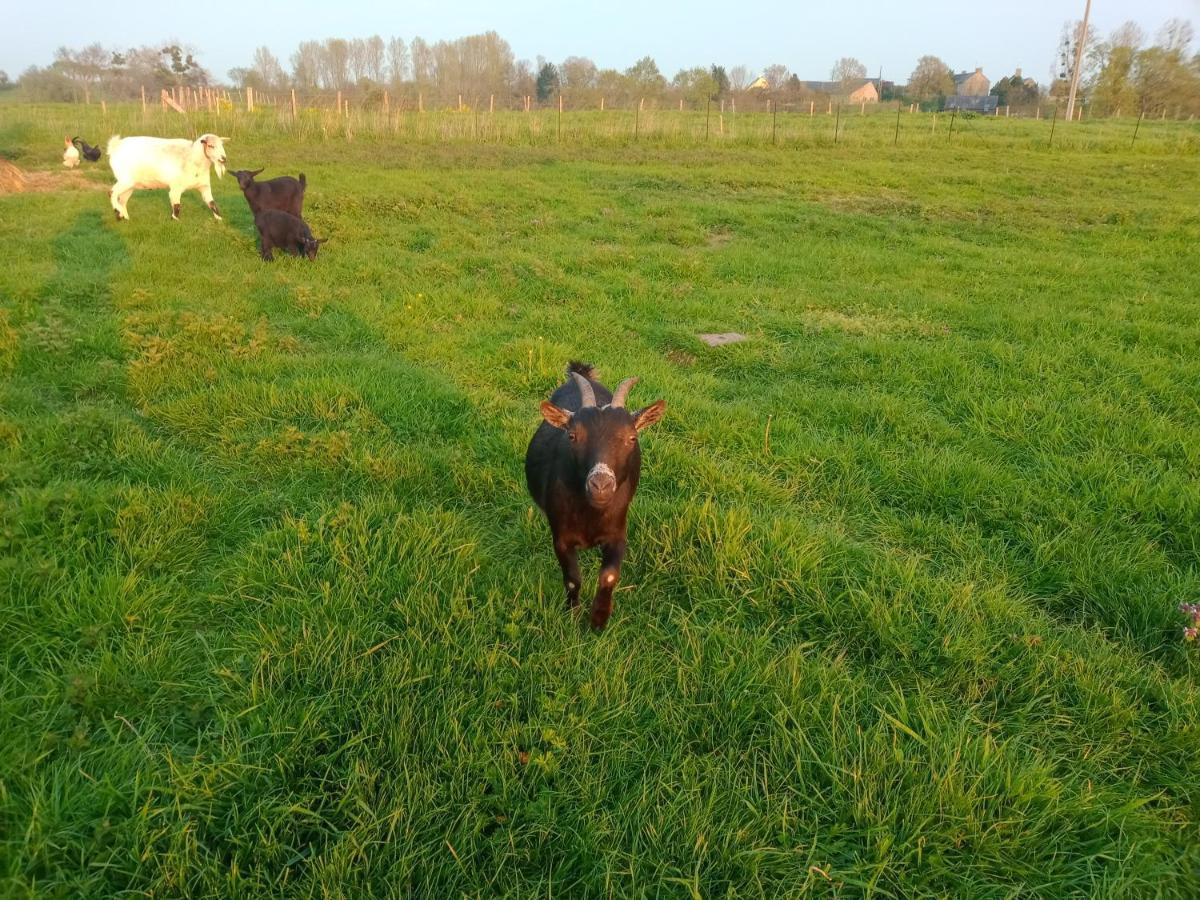La Ferme D' Emerentine Bacilly Εξωτερικό φωτογραφία